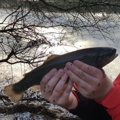 Mnvsfish_29 🐟
