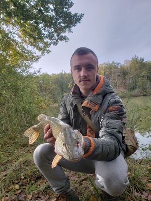 Adrien Pampoulie