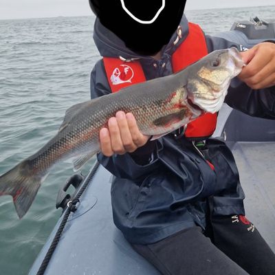 Timou le pêchou .
