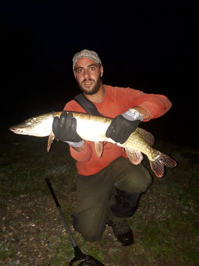 Saphs fishing