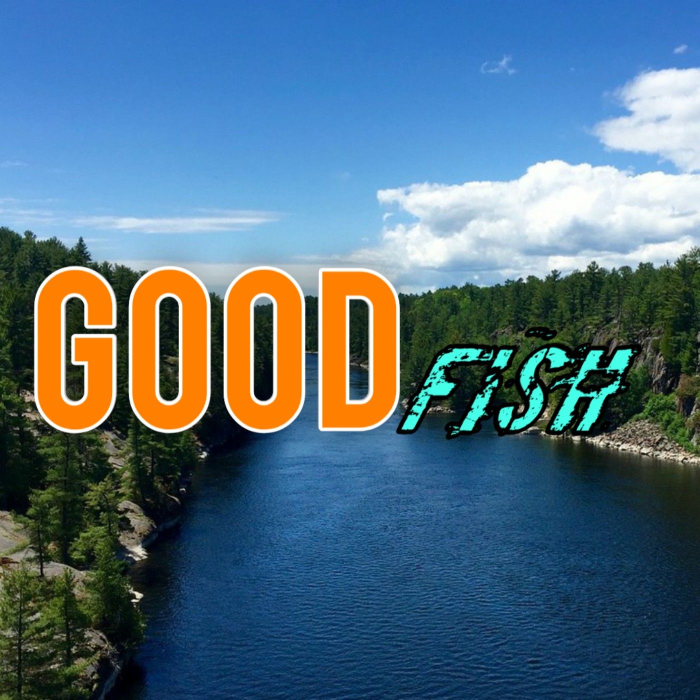 Goodfish 🐟🦈🐠🐡