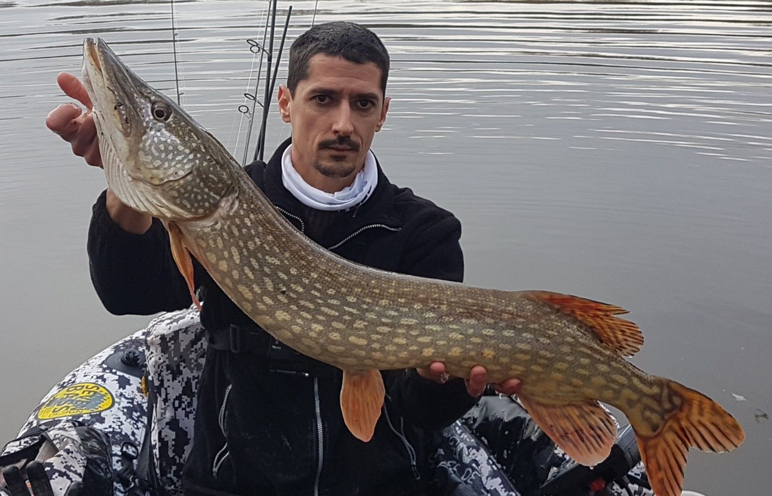 anges fous fishing
