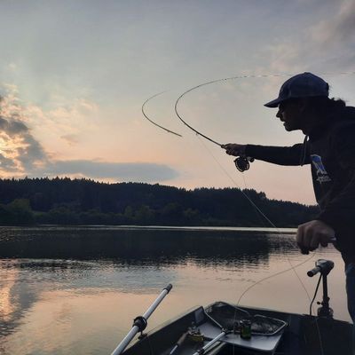 FloX Fly Fishing