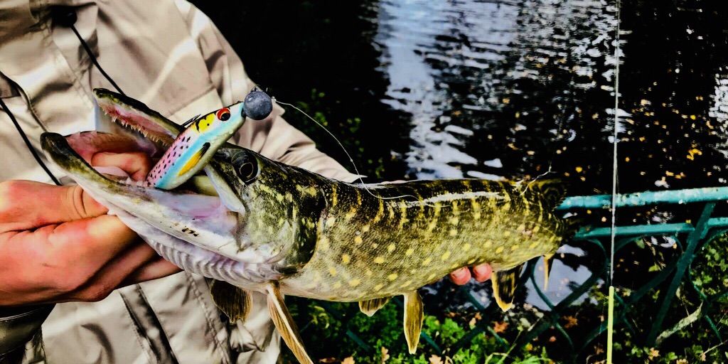 Jovan Cardot