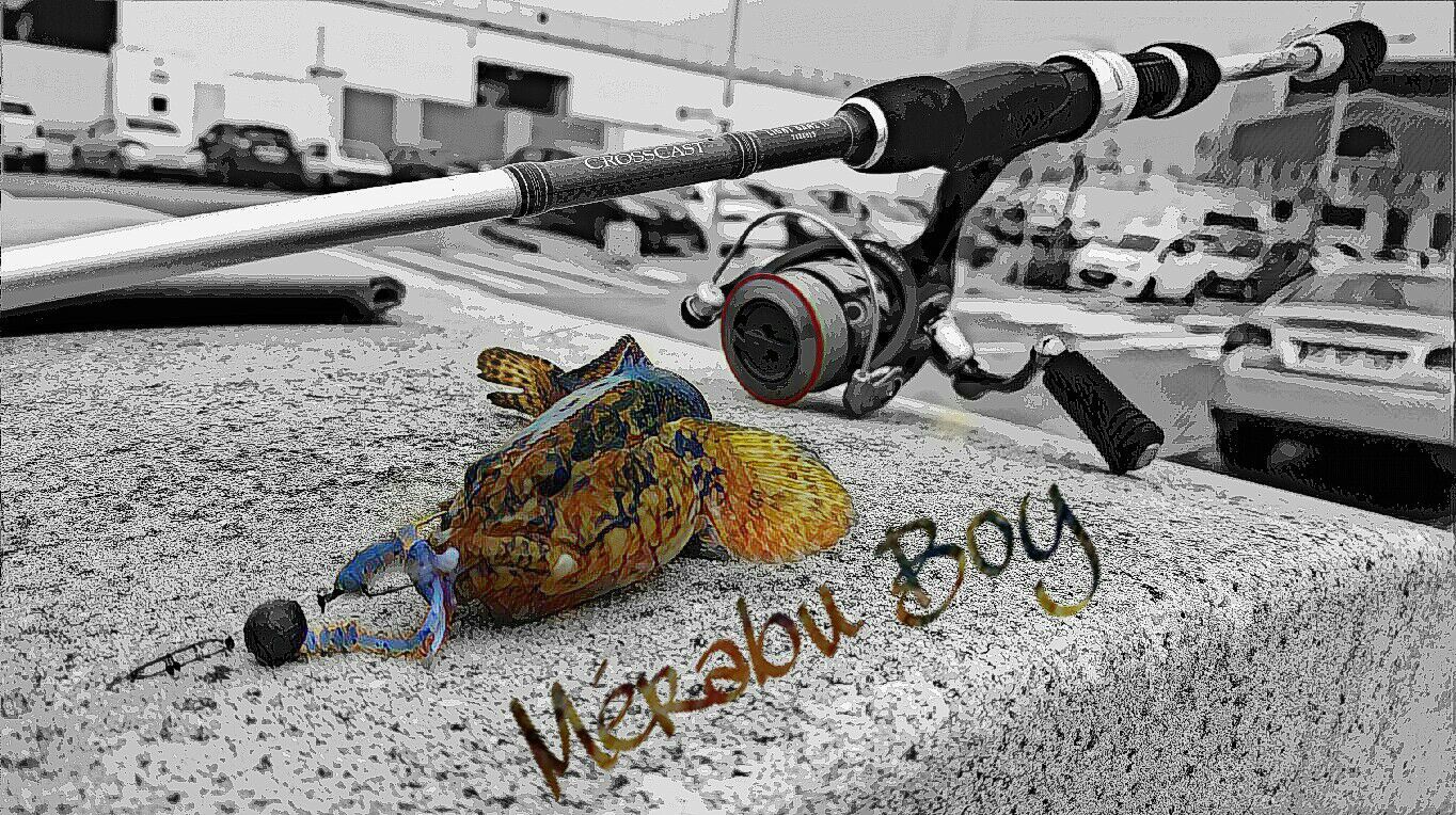 Cédric Diméglio