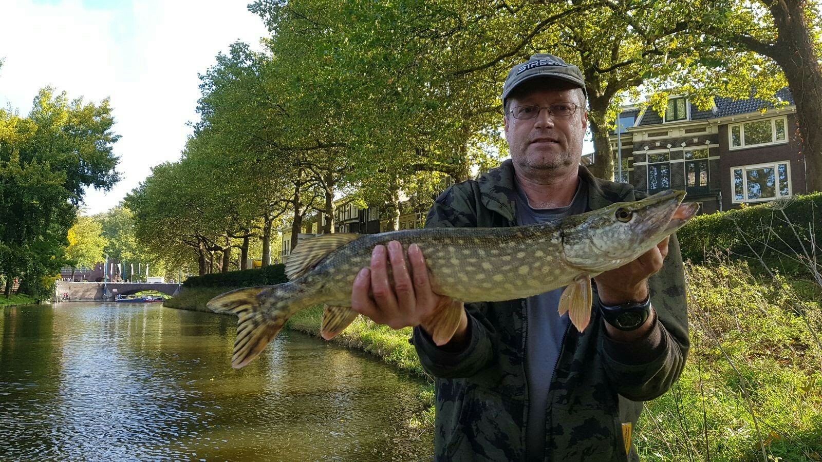 Frans Hogeterp