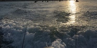 Gauthier Coyette 🎣