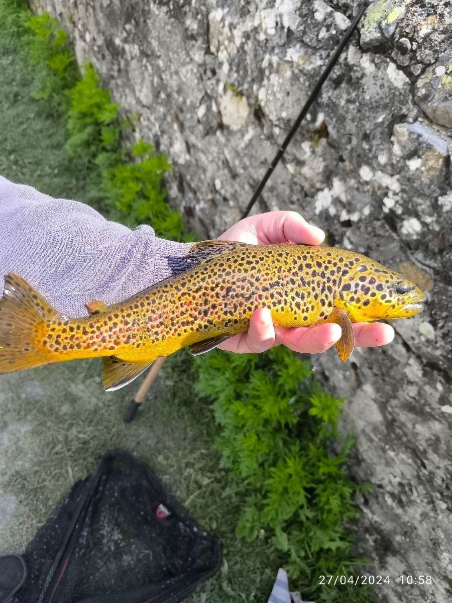 Jérôme Djmk-Capitaine team GSTF 🐟
