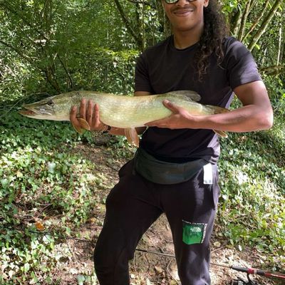 Bruno 🐟