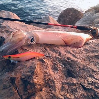 Thibault Fishing