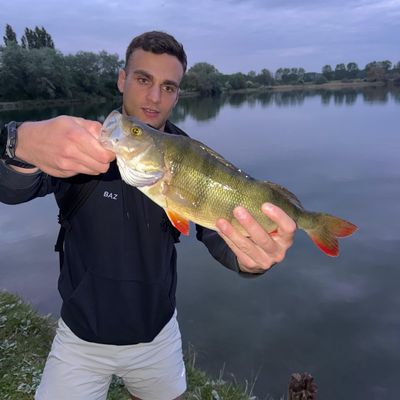 anthony mantoulan