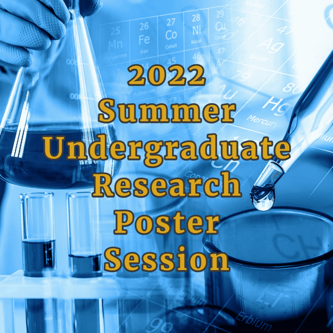 undergraduate research opportunities summer 2022