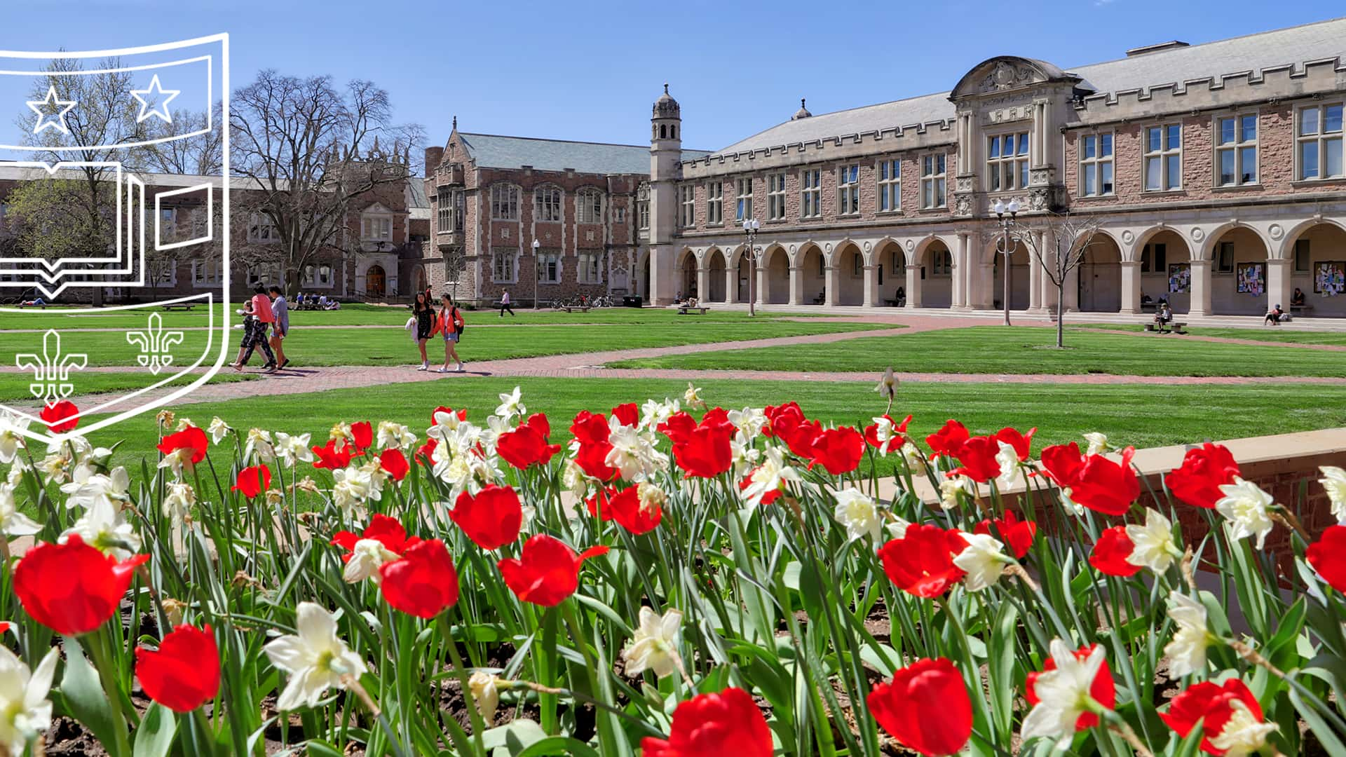 undergraduate research st louis