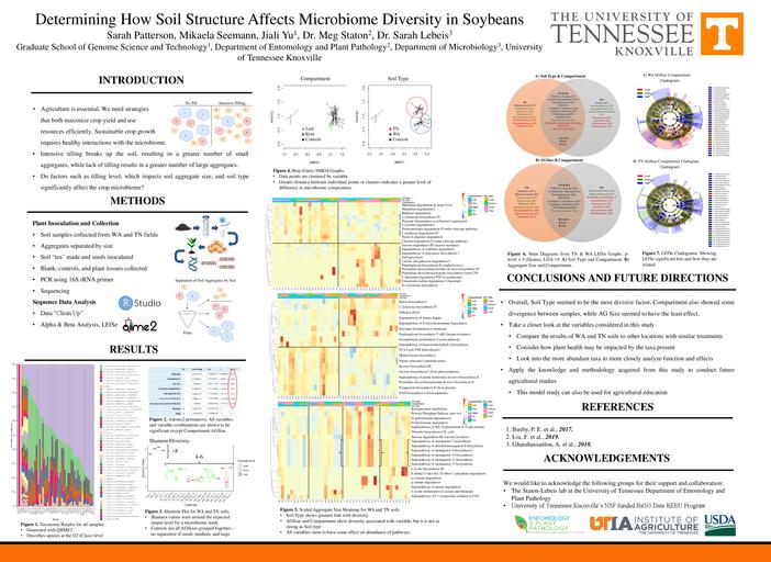 Determining How Soil Structure Affects Microbiome Diversity in Soybeans