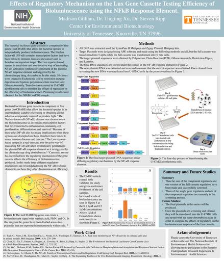 Effects of Regulatory Mechanism on the Lux Gene Cassette Testing Efficiency of Bioluminescence using the NFkB Response Element. 
<p><br></p>