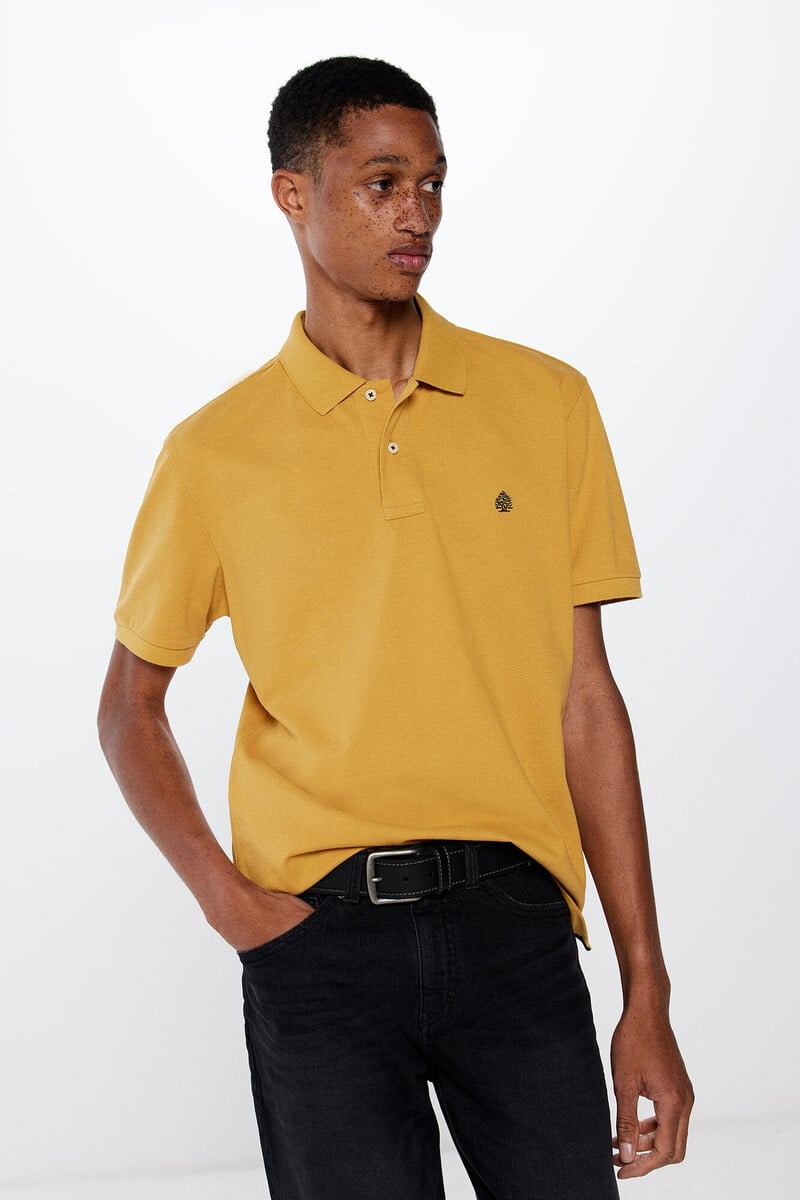 Polo bazike