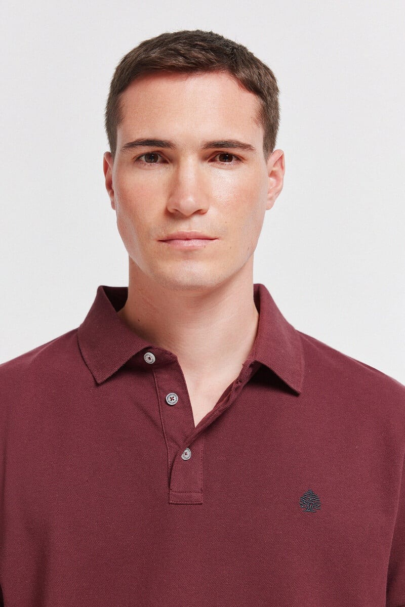 Polo për meshkuj, Springfield