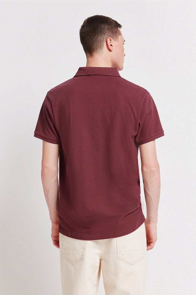 Polo për meshkuj, Springfield