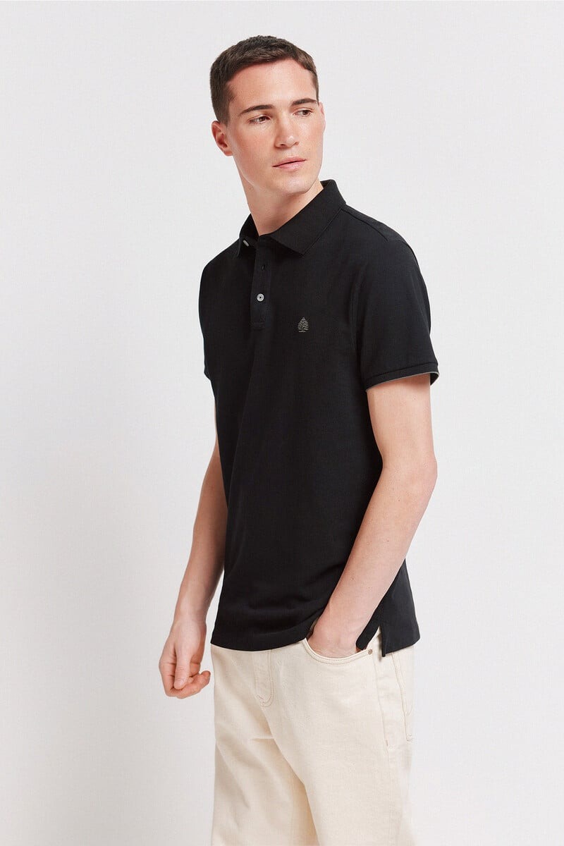 Polo për meshkuj, Springfield