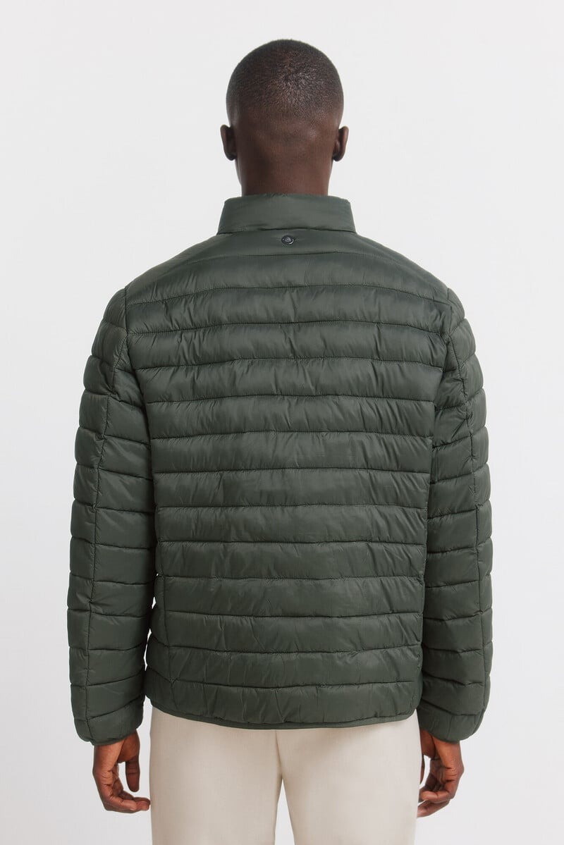 Xhup për meshkuj, Springfield