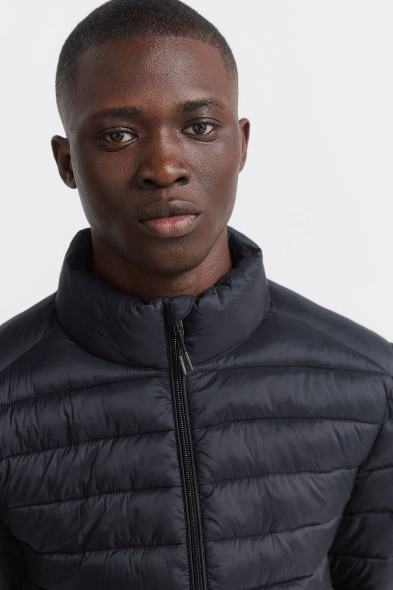 Xhup për meshkuj, Springfield