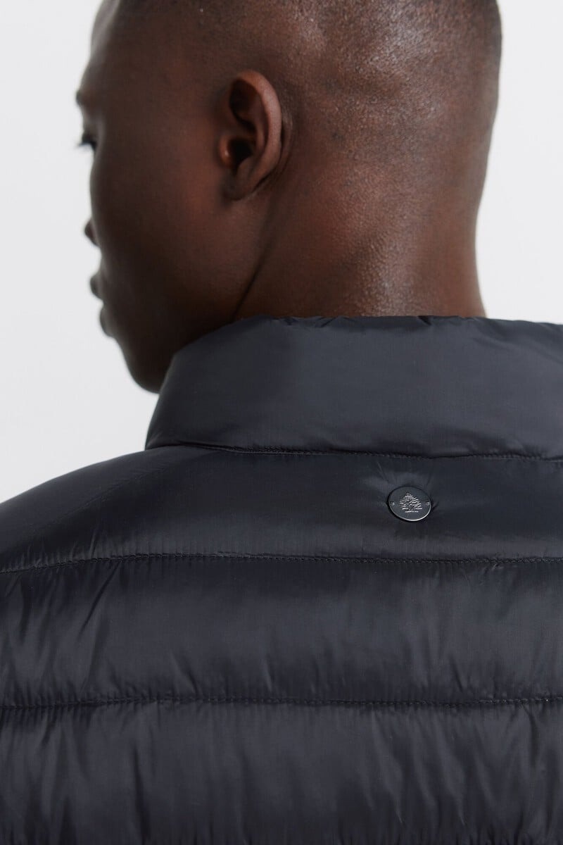 Xhup për meshkuj, Springfield