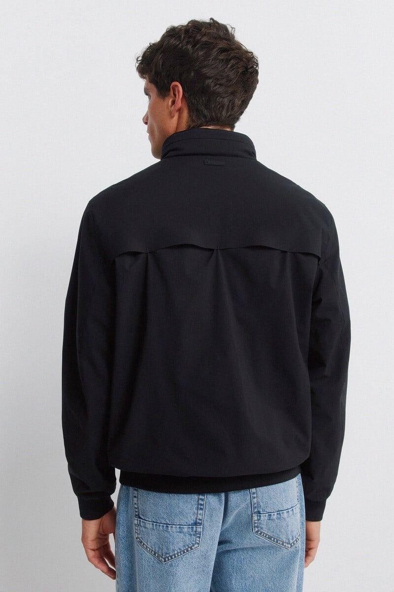 Xhaketë për meshkuj, Springfield