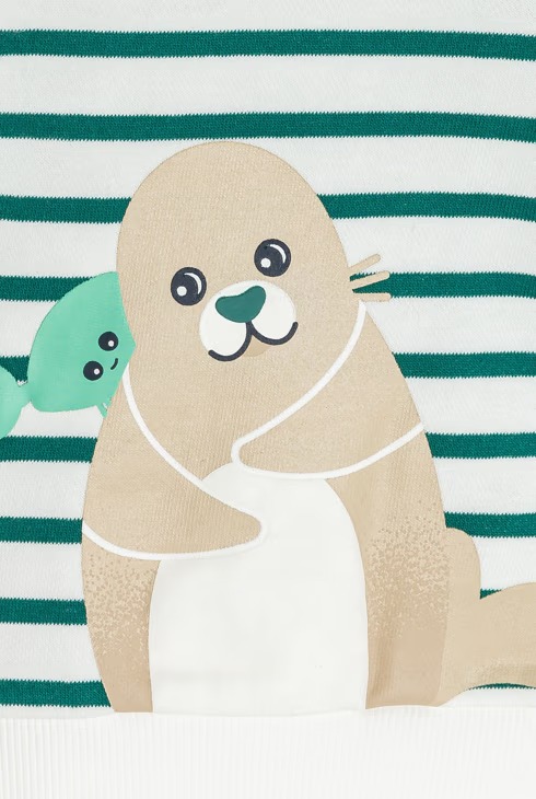 Bluzë me mëngë të gjata, Obaibi