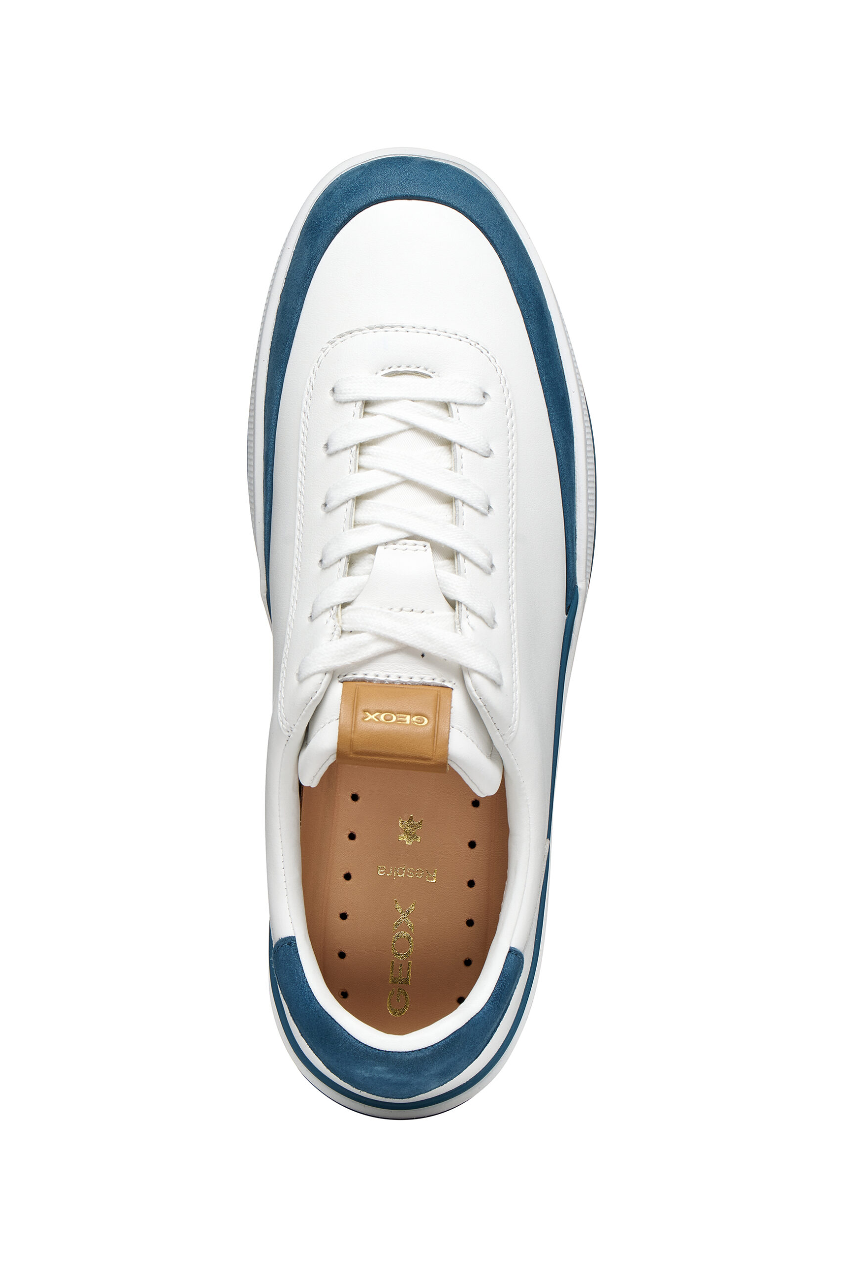 Atlete për meshkuj, Geox