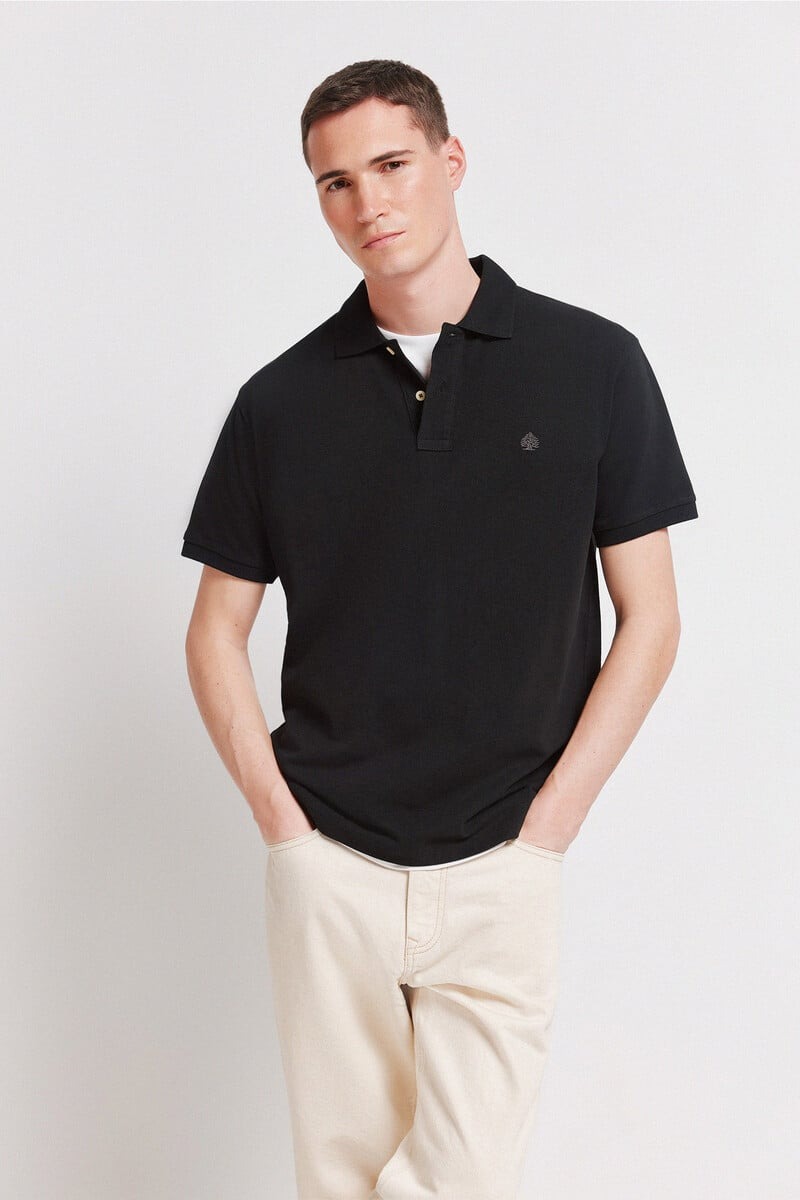 Polo bazike, Springfield - M