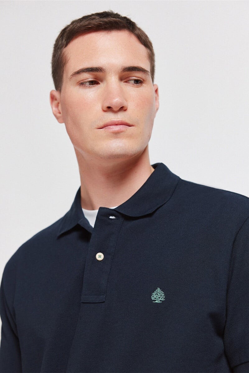 Polo bazike, Springfield