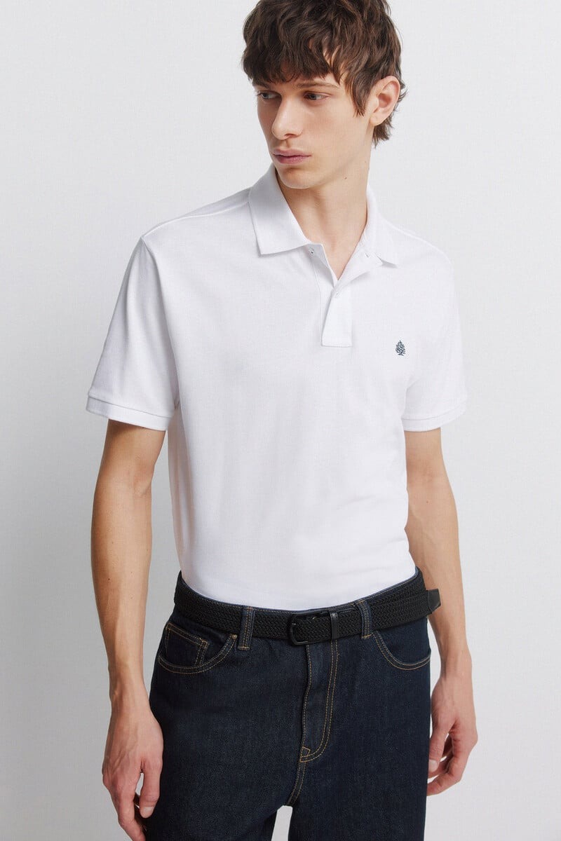 Rrip për meshkuj, Springfield