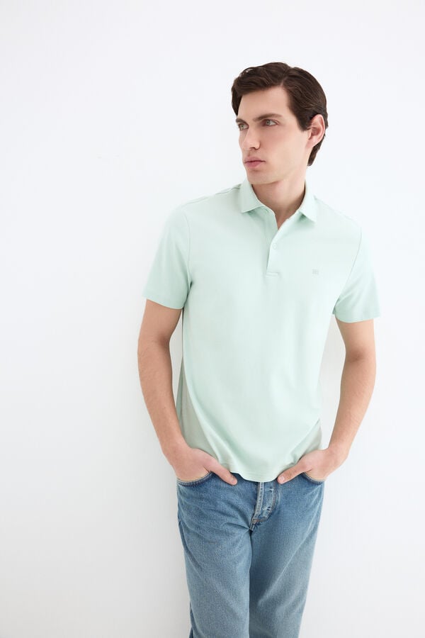 Polo, Pedro del Hierro
