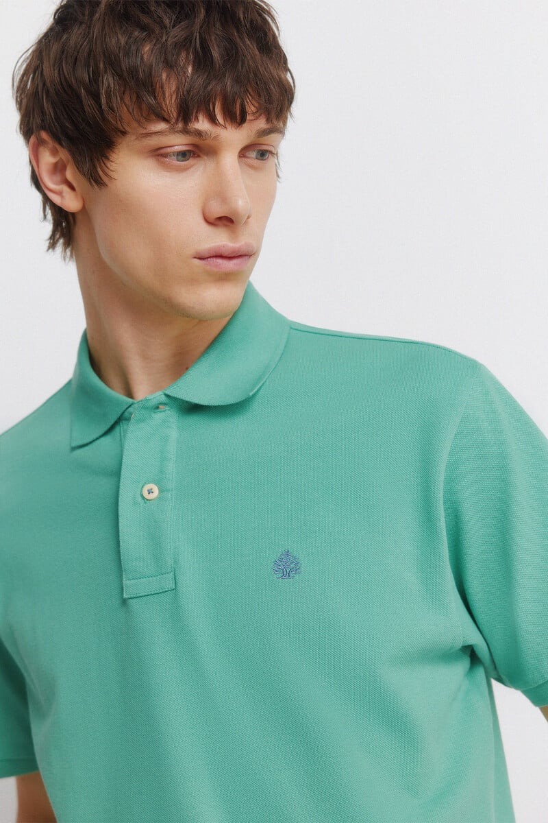 Polo bazike, Springfield