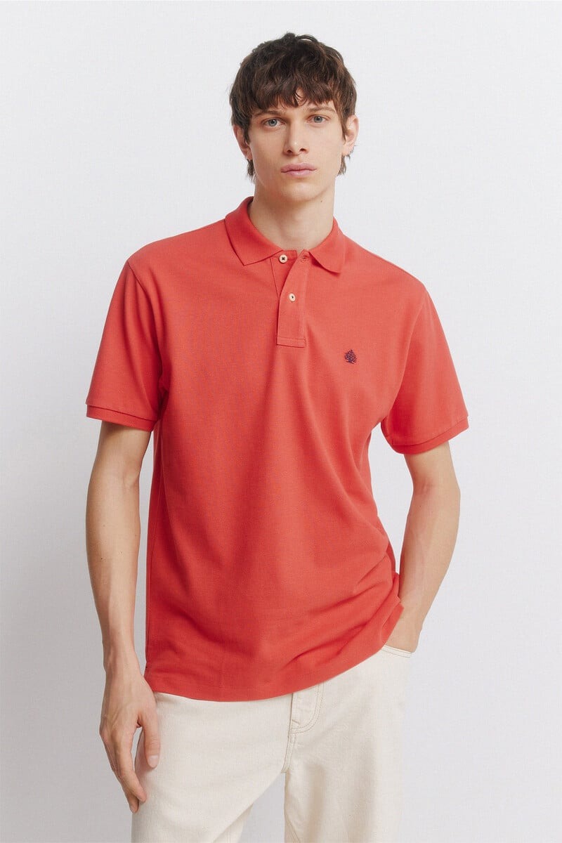 Polo bazike, Springfield - M