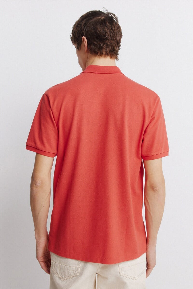 Polo bazike, Springfield