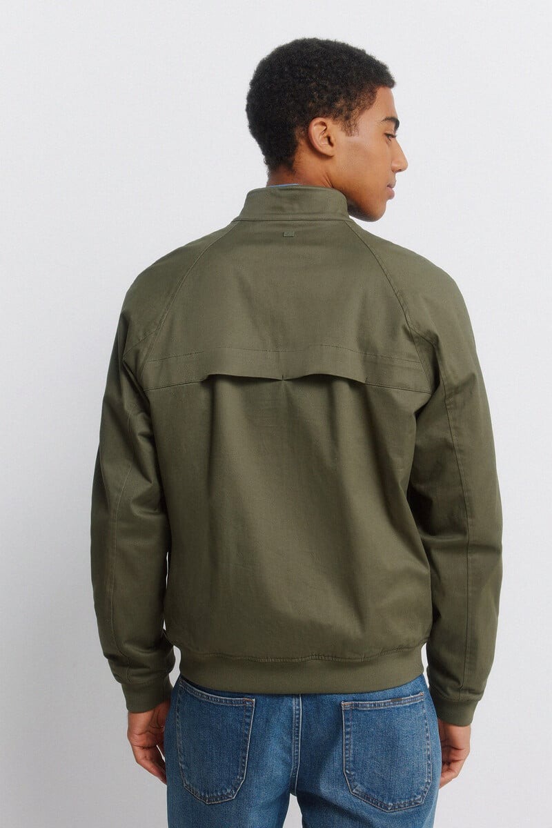 Xhaketë për meshkuj, Springfield