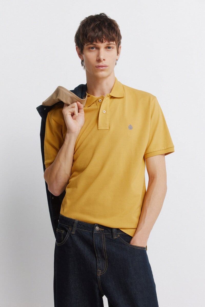 Polo bazike, Springfield - M