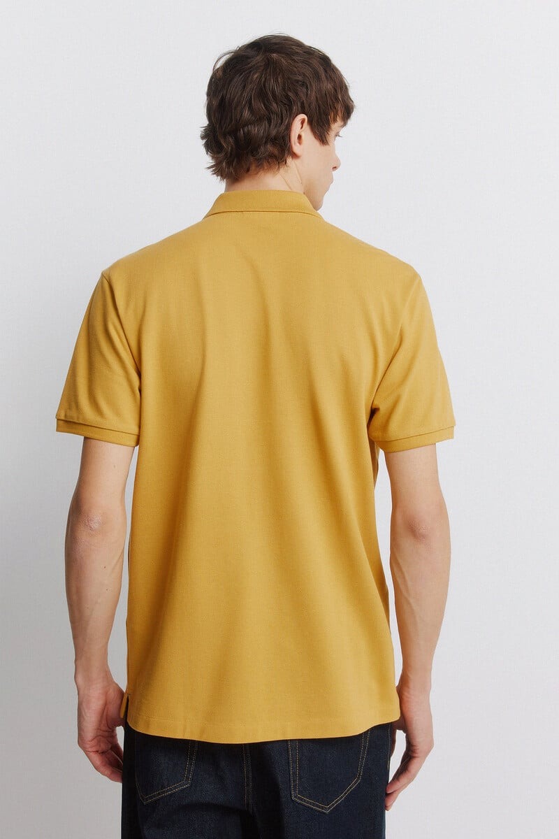 Polo bazike, Springfield