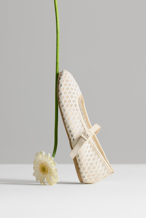 Balerina të sheshta, Okaidi