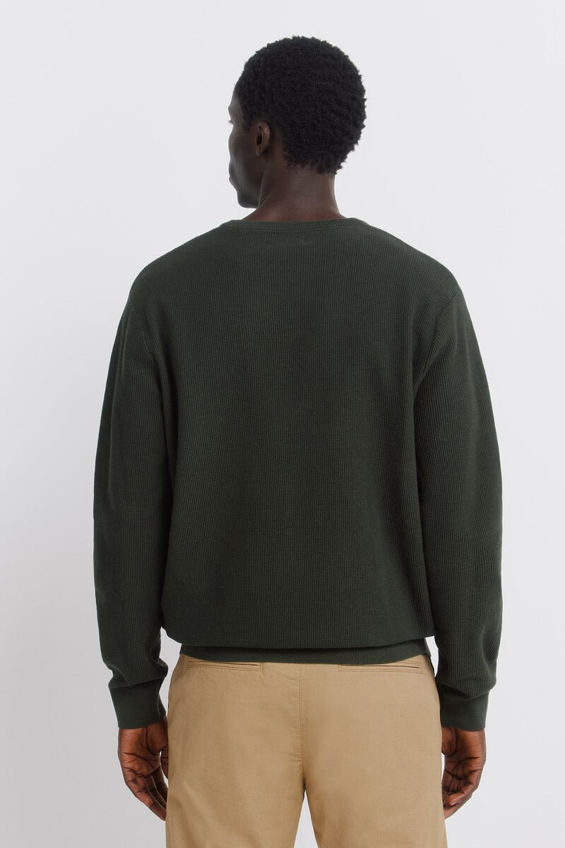 Bluzë me mëngë të gjata, Springfield