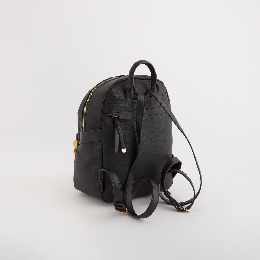 Çantë shpine, Carpisa