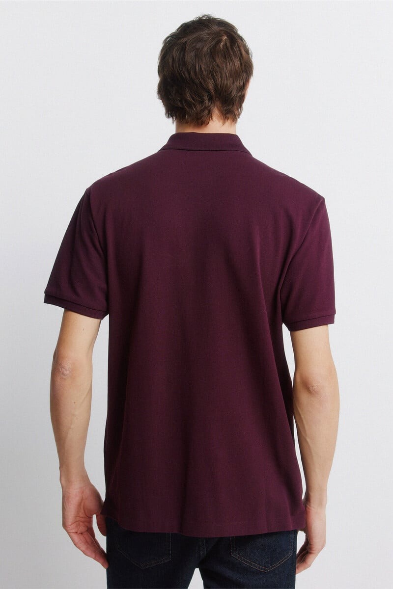 Polo bazike, Springfield