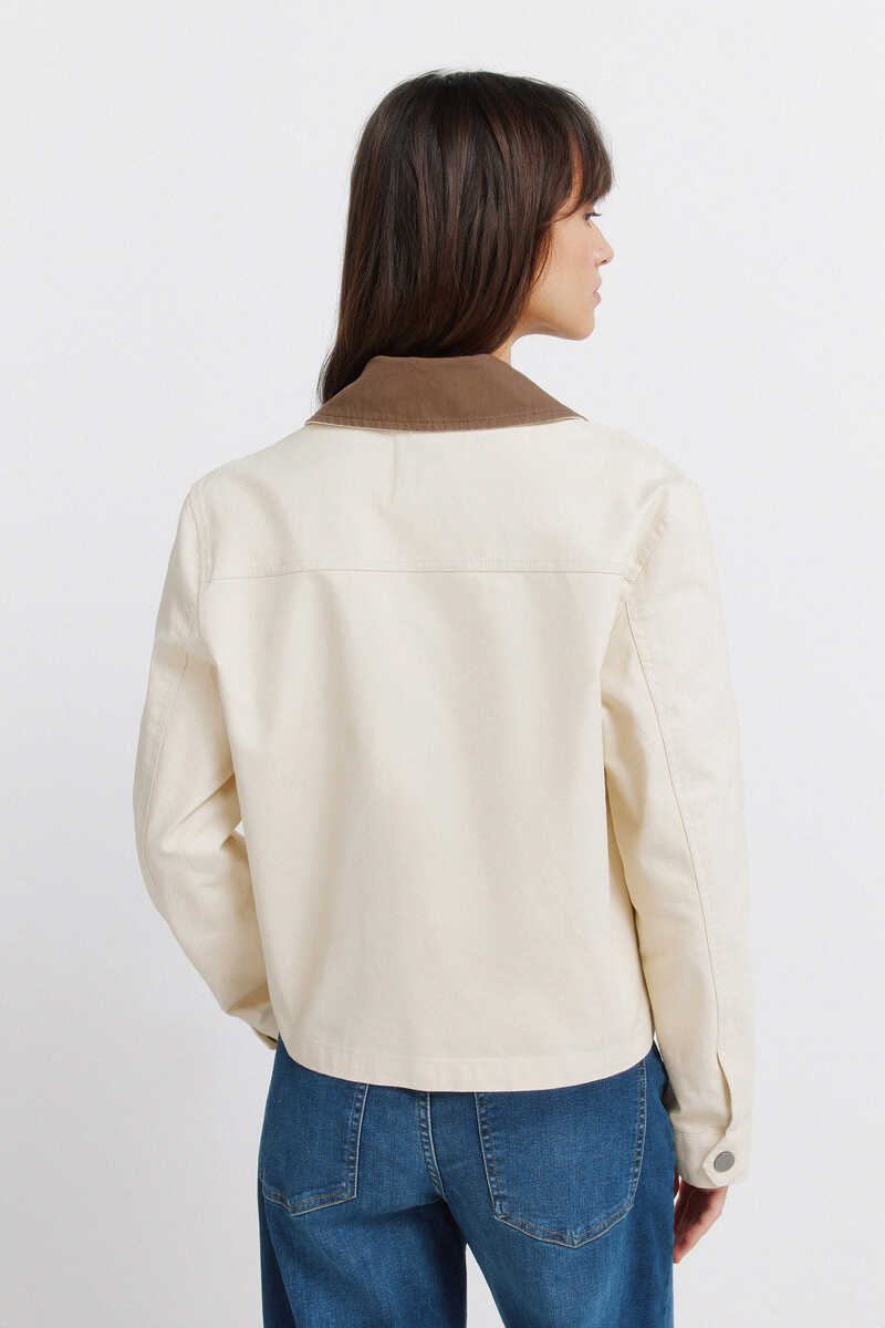 Xhaketë, Springfield