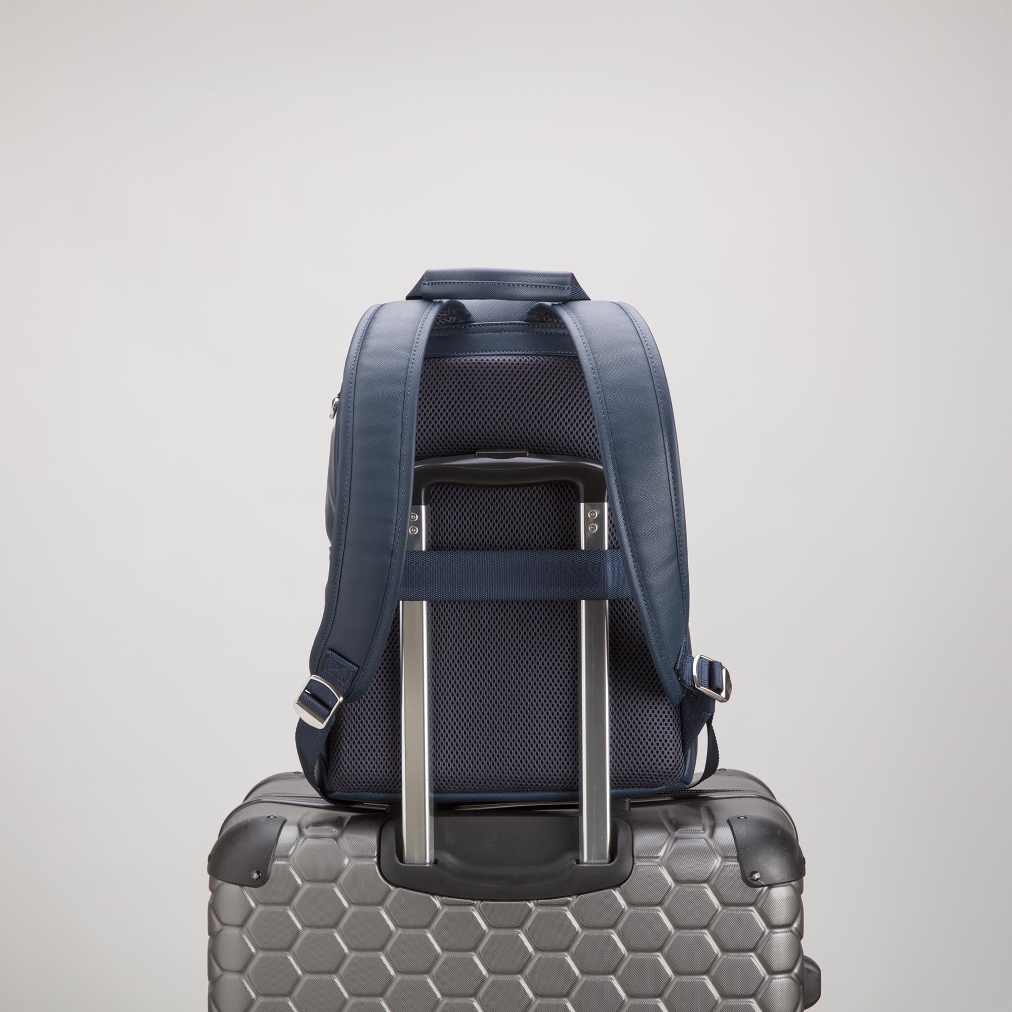 Çantë shpine, Carpisa