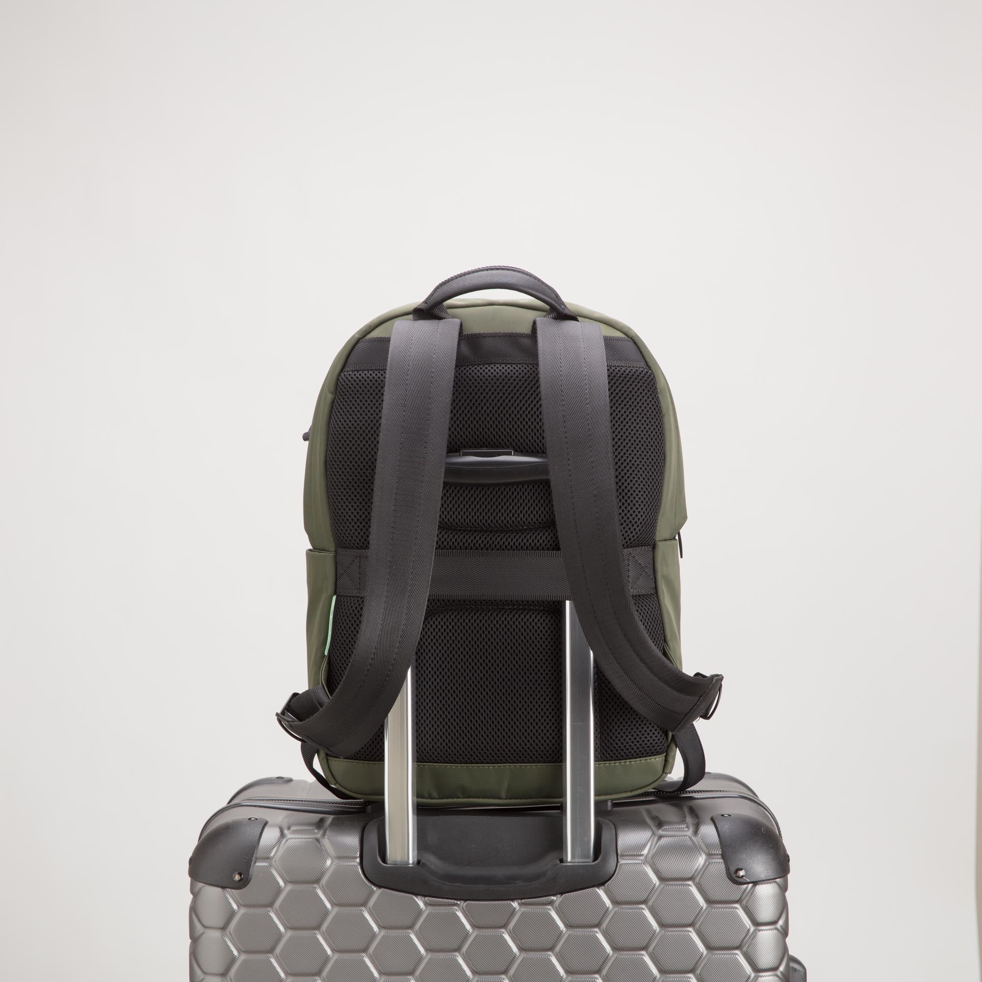 Çantë shpine, Carpisa