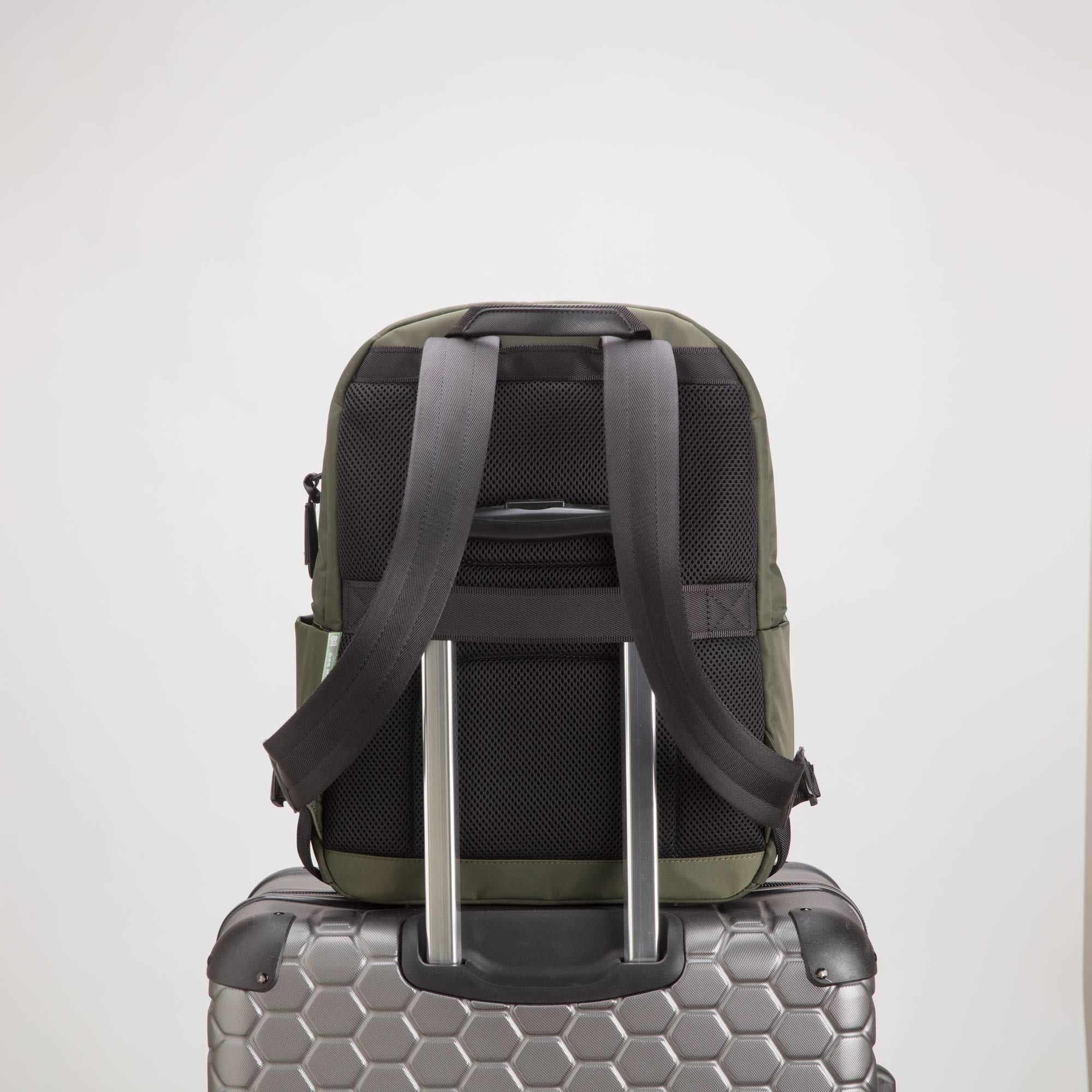 Çantë shpine, Carpisa