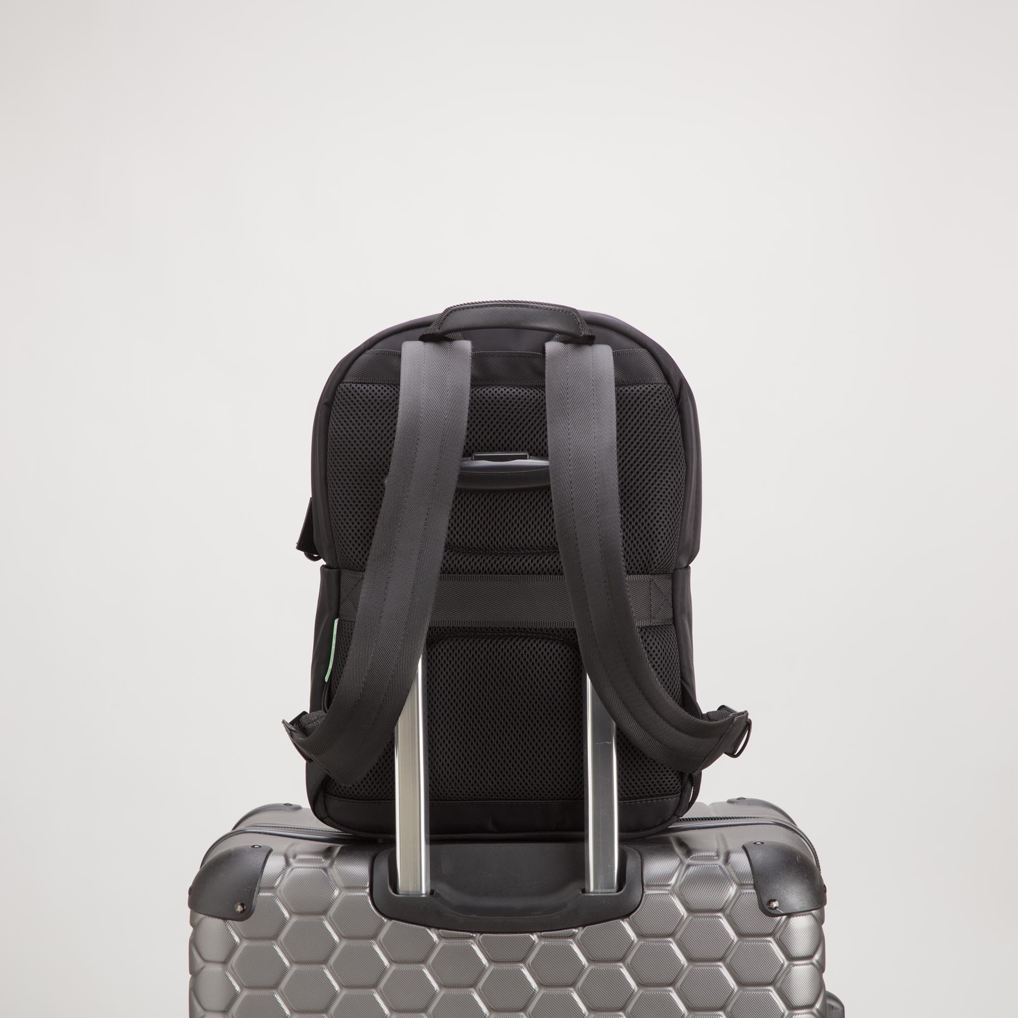 Çantë shpine, Carpisa