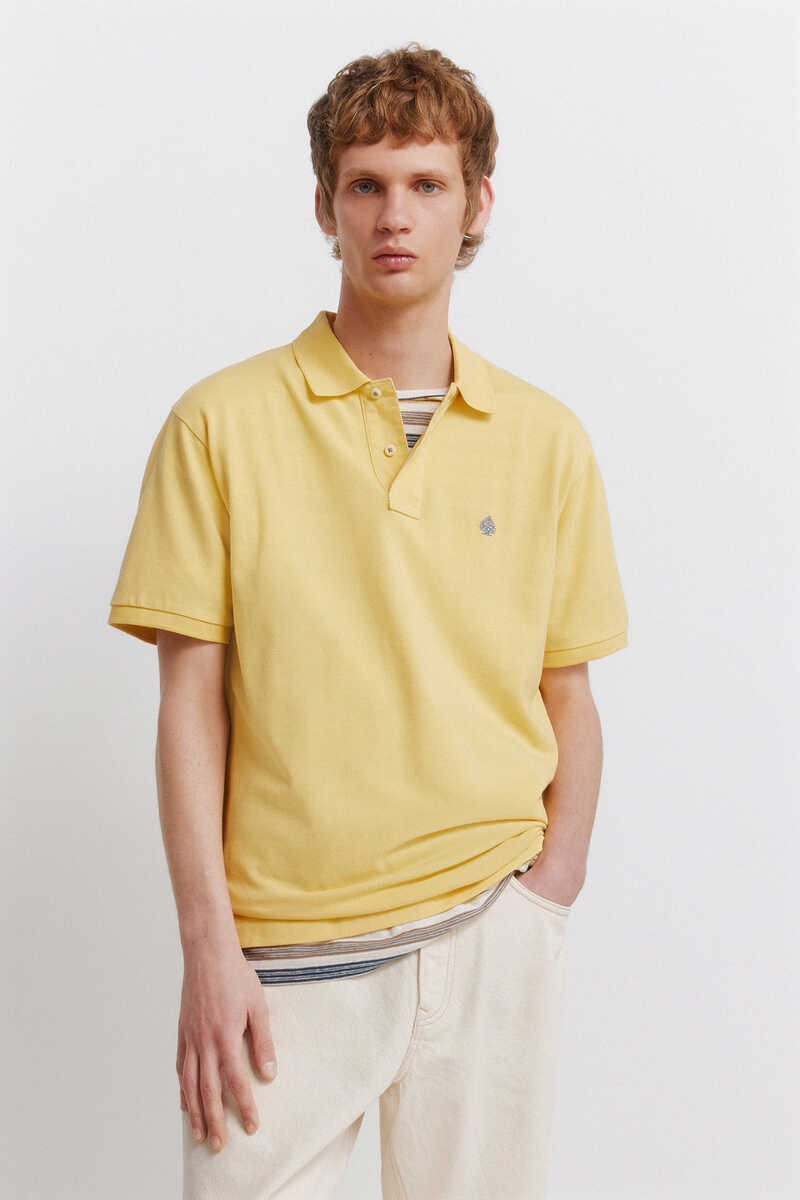 Polo me mëngë të shkurtra, Springfield