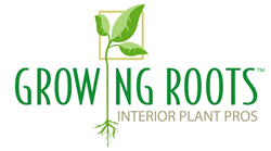 Growing Roots Development Co. Inc Franchise